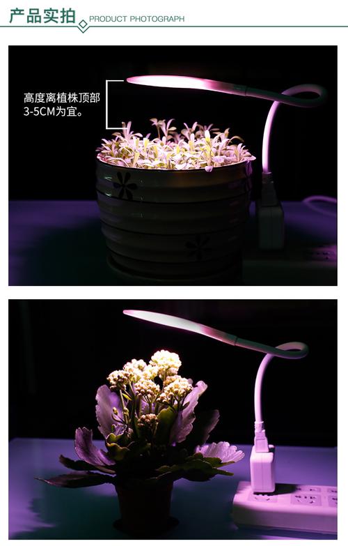 工厂货源全光谱led植物灯室内观叶植物小型花卉usb小功率补光灯